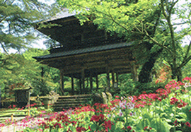 花寺 吉祥寺