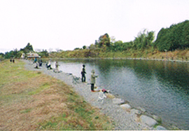 フライ＆ルアー レイクフォレスト