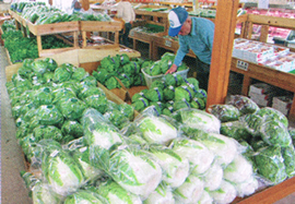 道の駅 あぐりーむ昭和